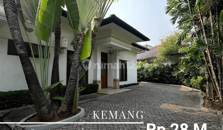 Rumah Kemang 1 Lantai Ada Pool, Garasi Carport Luas  1