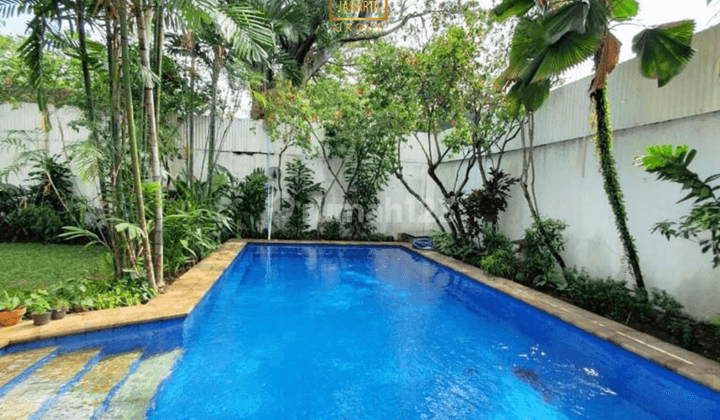 Rumah di Prime Area Jaksel Ada Pool Taman Luas 2