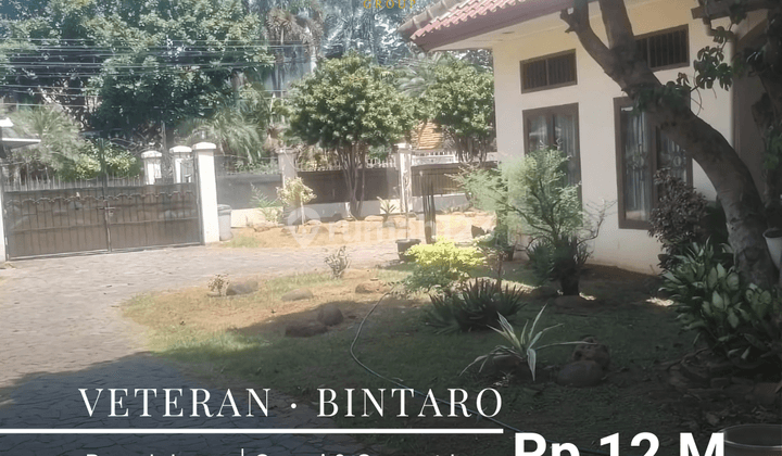 Rumah Veteran Bintaro Lt 994m2 , Bisa Buat Cluster Kantor 1