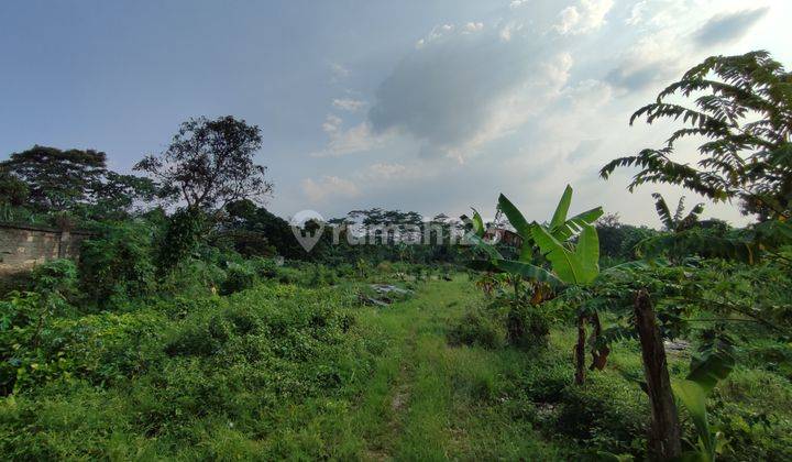 Lahan Pribadi Hak Milik 7 Ribu Meter Tajur Halang, Bogor 2