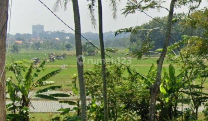 Dijual Tanah Daerah Palir Kaliancar Ngaliyan, Semarang 1