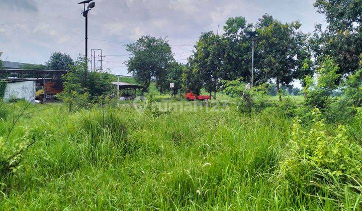 Tanah Mojokerto Gedeg Losari Timur Startegis 2