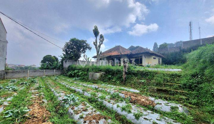 Tanah Lembang Cocok Berkebun Vila  2