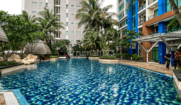 Apartement Hampton Park 3BR View Pool Jakarta Selatan 1