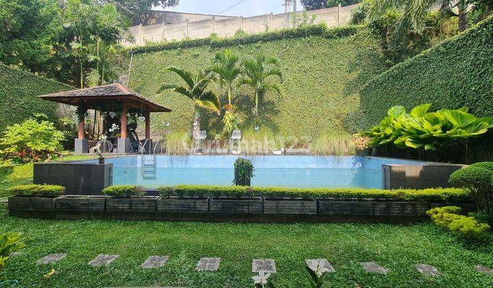 Rumah Asri Dan Nyaman Full Furnished di Setraduta 1