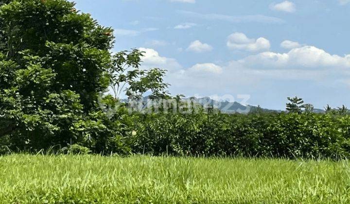 Dijual Tanah Kavling di Nilajaya Kota Baru Parahyangan