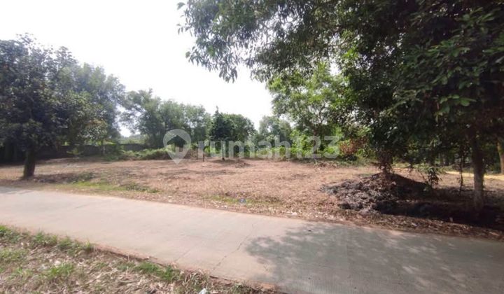 For Sale: 3,150 M2 Land, Suitable for Business/Housing/Cluster Development - Location in Bedahan, Sawangan Depok
