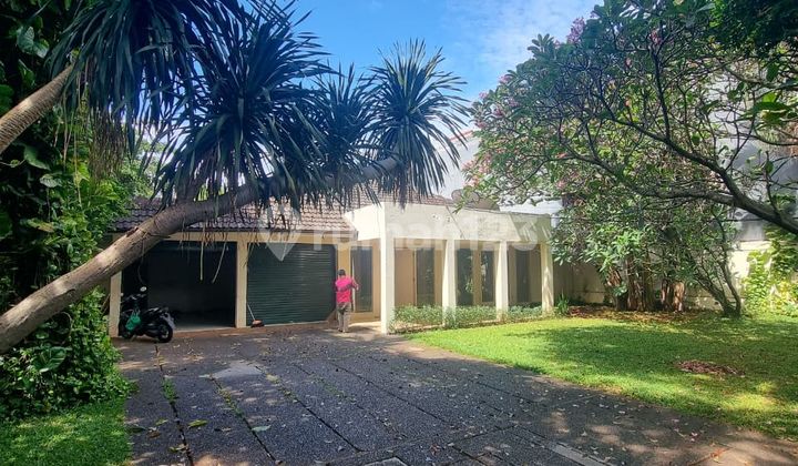 For Rent Spacious House with Pool and Garden, 4 Bedrooms - Location Kemang, South Jakarta