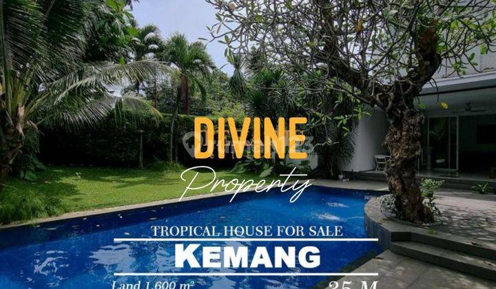 For Sale Tropical House With Private Pool At Ampera, Kemang Jakarta Selatan 1