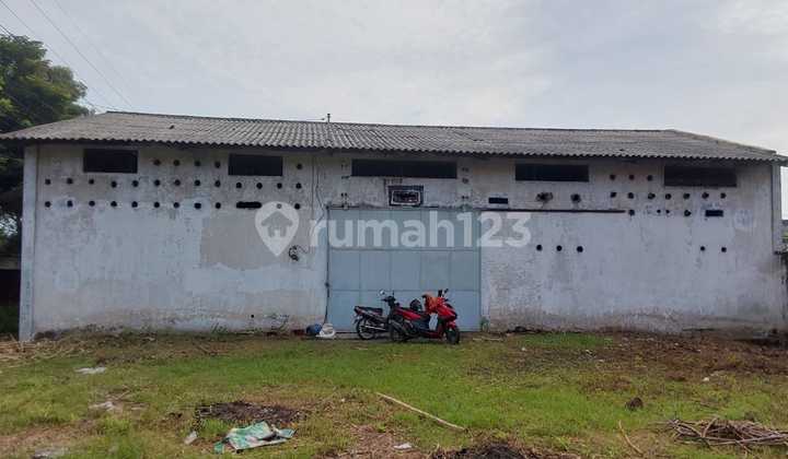 Owner Warehouse Calculates Land Paiton Sukodadi