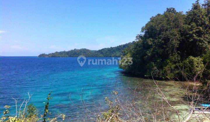 For Rent Land Raja Ampat Papua Barat 
1 Hektare Avaliable For 10 Hektare 
Good for make Resort, Villa, Hotel
Front Of Katembe Priate Island 
Complete with IMB
Rent lesehold 20 Year
200.000Usd Or Rp 3 Milyar
Or 150 JT/1 Hektare/1 Year 2