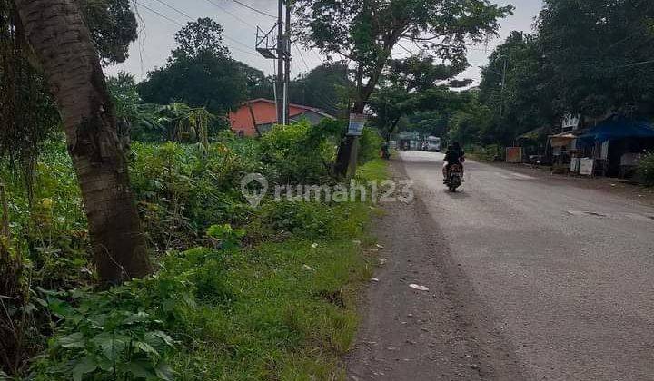 Tanah Poros Pattalassang-Palantikang
Luas Tanah 8000 meter
Depan kantor Camat Pattalassang
Berdampingan  Dengan Mesjid
Disekeliling SDH Banyak Perumahan Perumahan
Dekat pasar Burung Burung 2