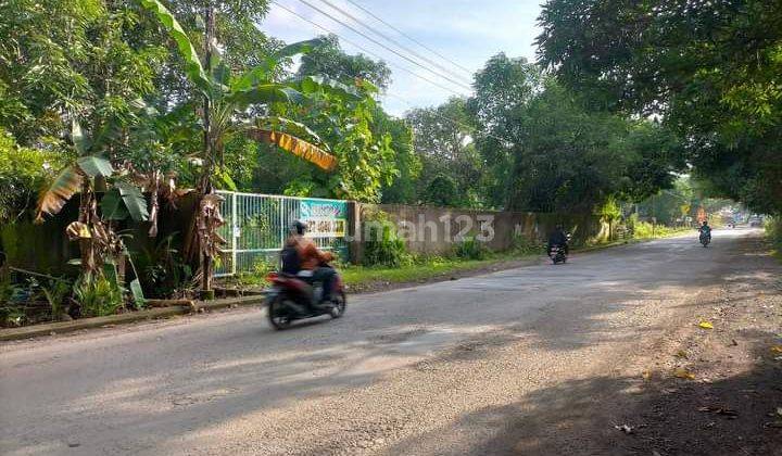 Tanah Poros Jl Pattalassang Makassar Sulawesi Selatan 
27X107 Luas 2900M²
Dekat Puri Indah Mansion
Ccok Ruko
Ccok Tempt Usaha
 2