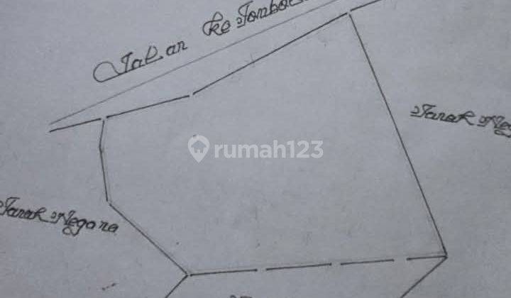 Tanah Di Malino 3.201 Metertinggimoncong Jalan Poros Lewati Tempat Main Hutan Pinus 1