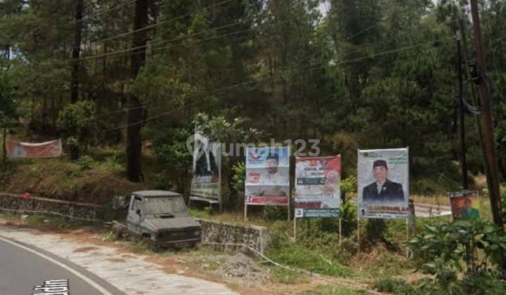 Tanah Di Malino 3.201 Metertinggimoncong Jalan Poros Lewati Tempat Main Hutan Pinus 2