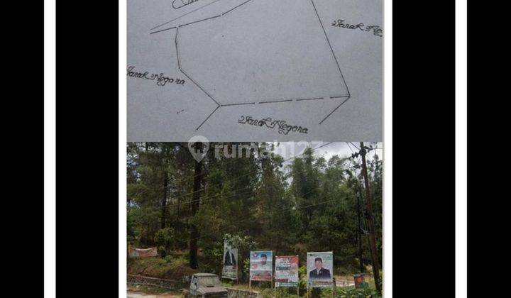 Tanah di Malino 3.201 Meter
TinggiMoncong 
Jalan Poros Lewati Tempat Main Hutan Pinus
https://maps.app.goo.gl/G8cRgWWATnQHyoBJ7?g_st=aw
Rp. 1.750 JT Per Meter 1