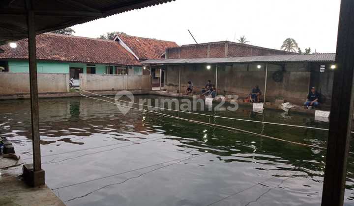 Dijual Murah Tanah Kolam Pemancingan dan Bangunan di Pakutandang Ciparay Bandung