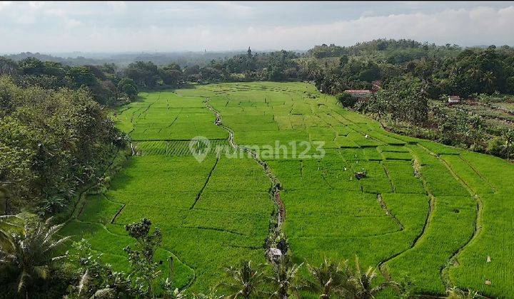 Dijual Segera Tanah Luas 19,2 Hektar, Harga Murah Dibawah Harga Pasaran Tanah Di Cibinong Hilir Kecamatan Cilaku Kabupaten Cianjur