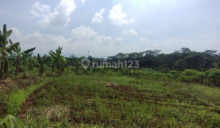 Dijual Murah Tanah Di Cianjur Cibinong Hilir Cocok Untuk Peternakan Pertanian Tempat Wisata atau Perumahan 2