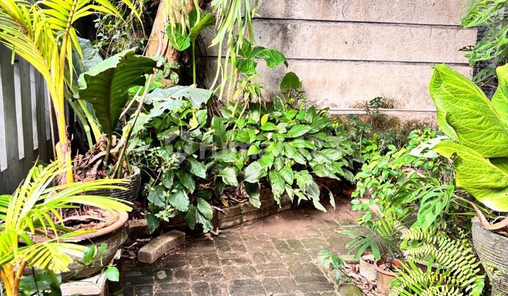 Dijual Murah Rumah Siap Huni di Bintaro Sektor 9 Tangerang Selatan 2