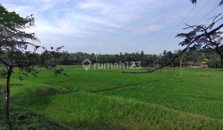 Dijual Murah Tanah Di Cianjur Cibinong Hilir Bisa Dibeli Sebagian Cocok Untuk Tempat Wisata Pertanian atau Perumahan 2