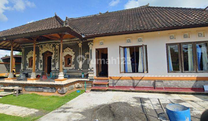 Rumah Siap Huni Khas Bali Banget Lokasi di Meliling, Tabanan 2