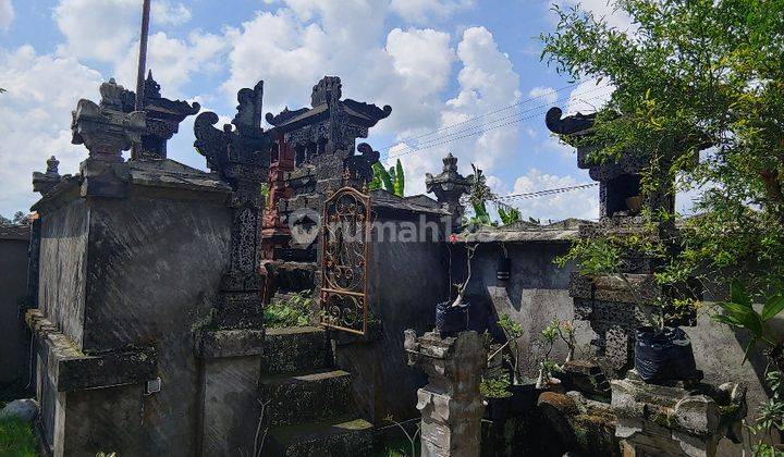 Rumah Siap Huni Khas Bali Banget Lokasi di Meliling, Tabanan 3