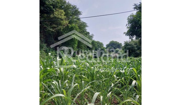 Land at Jl Raya Kaliwungu, Kendal (Jo 8553) Land at Jl Raya Kaliwungu, Kendal (Jo 8553)