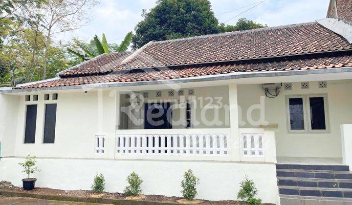 Rumah di Penundan , Banyuputih Batang ( Me 7834 ) 1
