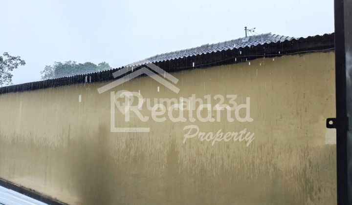 House in Segadung, Singorojo Kendal (approx. 8366 sq m) 2