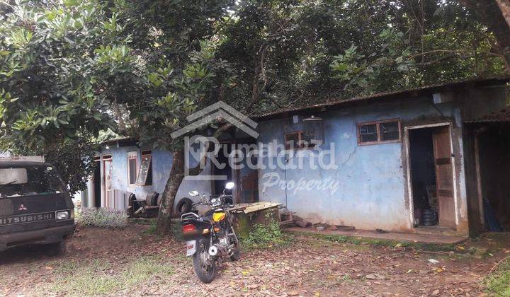 Gudang di Ampel Gading , Gunung Pati Semarang Me 4519  4