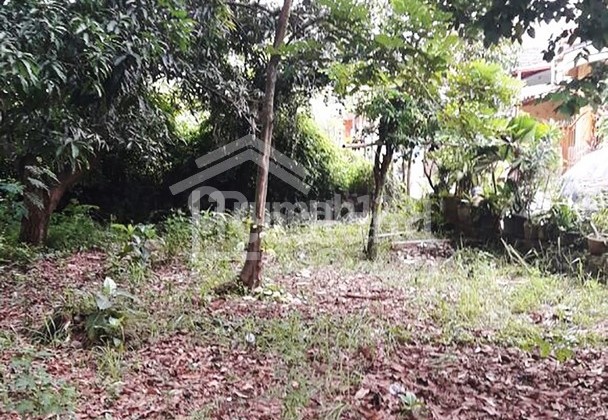 Land in the Ngaliyan area, Semarang (NI 7575) 1