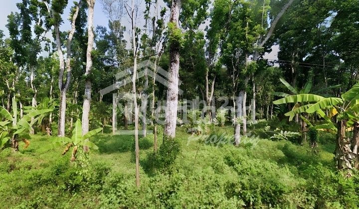 Tanah di Daerah Mijen , Semarang ( Jo 8482 ) 1