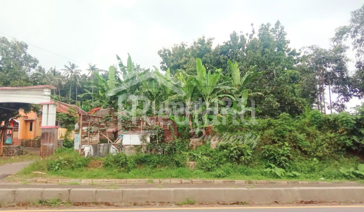 Tanah Raya Subah, Batang (Me 7836)