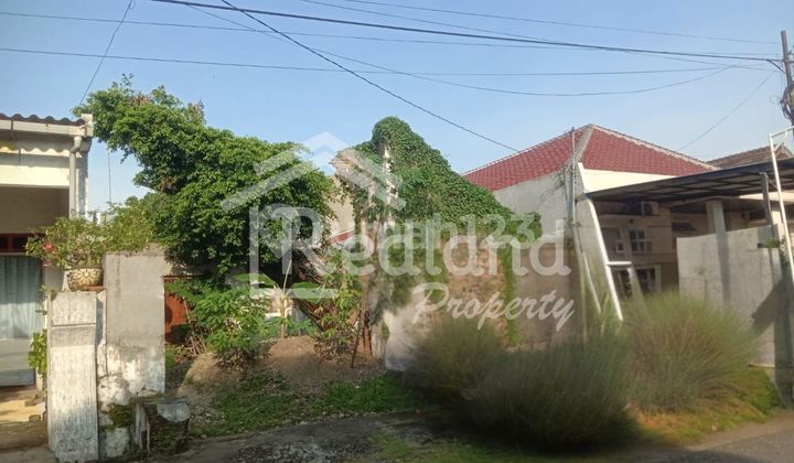 Land in Puspoearno, Semarang (Me 8684) 1