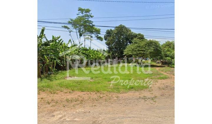 Tanah di Montongsari , Weleri ( Me 8019 )