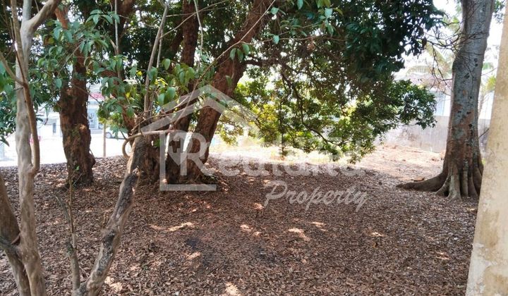 Land on Jl Diponegoro, Salatiga (HL 8182)