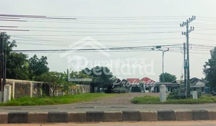 Tanah di Pantura Kendal Weleri ( Me 7941 )