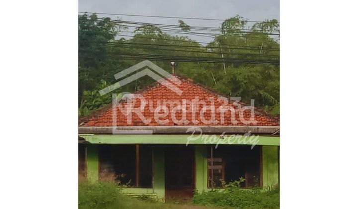 Rumah di Jl Raya Pantura Kendal Weleri ( Me 7919 ) Rumah di Jl Raya Pantura Kendal Weleri ( Me 7919 )