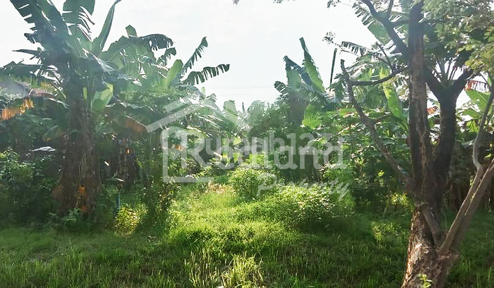 Tanah di Jl Sarwo Edi Wibowo , Semarang ( Me 7821 ) 2