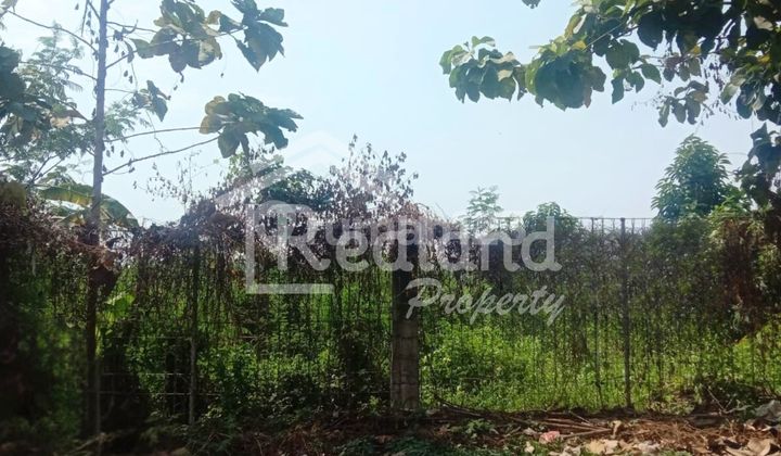 Tanah di Raya Beringin , Ngaliyan Semarang (  Me 8080 ) 1