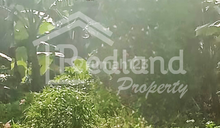 Tanah di Jl Sarwo Edi Wibowo , Semarang ( Me 7821 ) 1