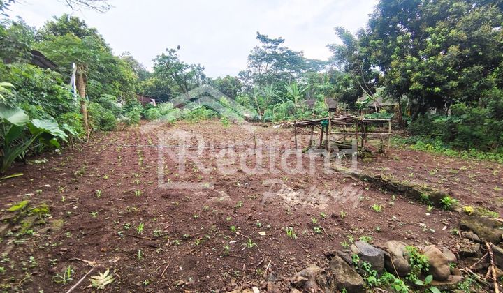 Tanah di Jl Raya Rawosari , Meteseh Boja ( Jo 8555 )