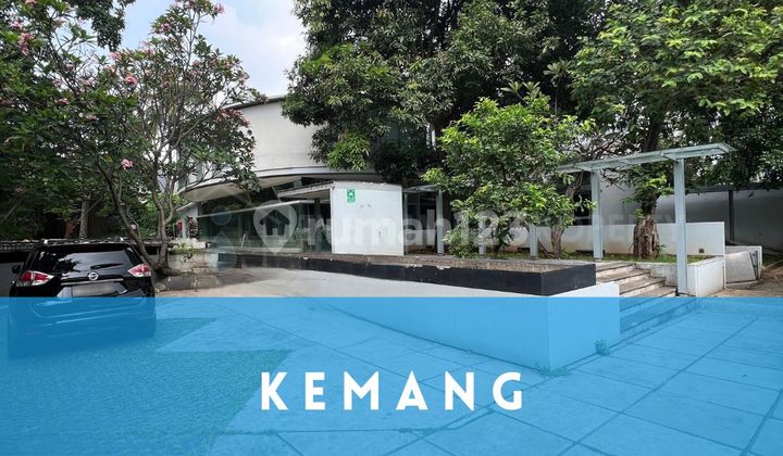 Jual Cepat Turun Harga Gedung Kantor Murah Harga Dibawah NJOP Kemang Jakarta Selatan