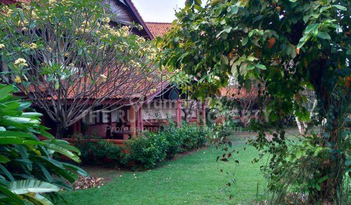 Dijual Rumah Villa Etnik Jawa Bali Tanah Luas di Cirendeu  4