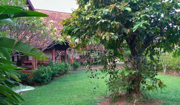 Dijual Rumah Villa Etnik Jawa Bali Tanah Luas di Cirendeu  5