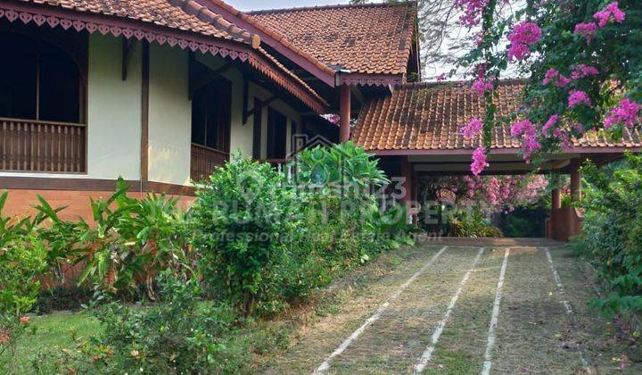 Dijual Rumah Villa Etnik Jawa Bali Tanah Luas di Cirendeu  9