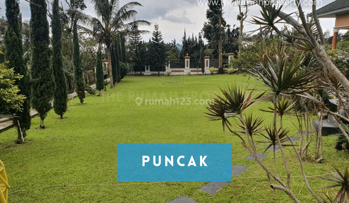 Villa Tanah Dalam Komplek di Puncak Cianjur Harga Murah Nego 1