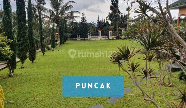 Villa Dijual Halaman Luas Ada Kolam Renang di Puncak Tanah 2900 Meter 1