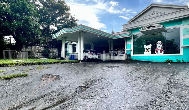 1-Story House in Kemang, South Jakarta with Private Pool, Large Land, For Sale or Rent 2